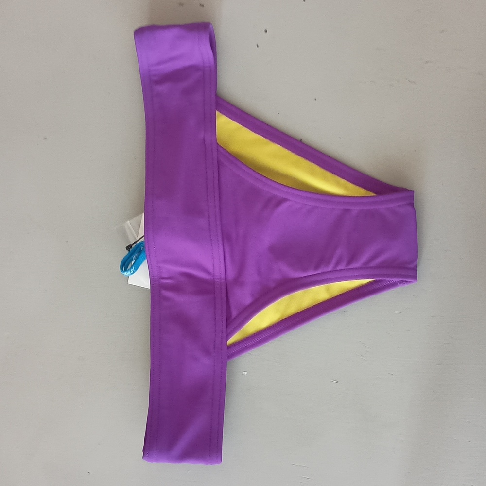 Arena Purple Desire Bikini Bottom